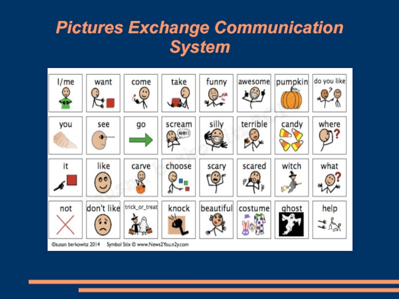 Pictures Exchange Communication System