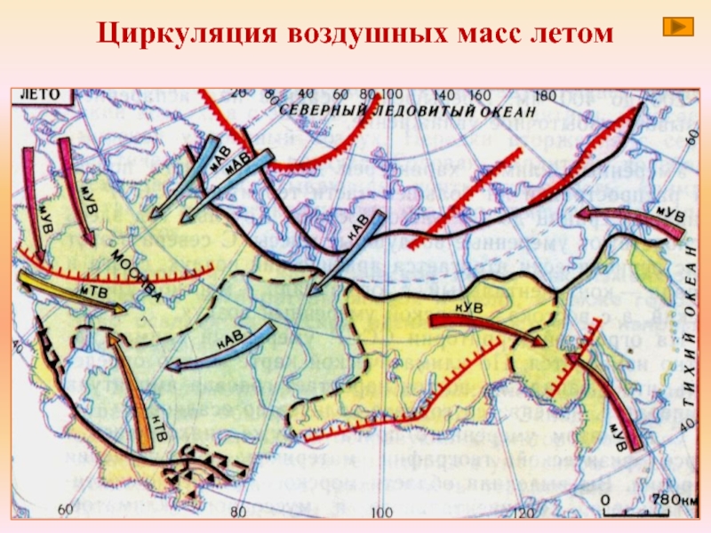 Карта движения ветра в реальном времени