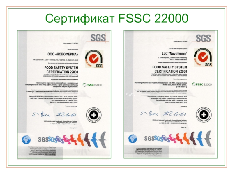 Из чего состоит схема сертификации согласно fssc 22000 для производства пищевых продуктов