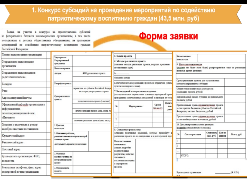 1. Конкурс субсидий на проведение мероприятий по содействию  патриотическому воспитанию граждан (43,5 млн. руб) Форма