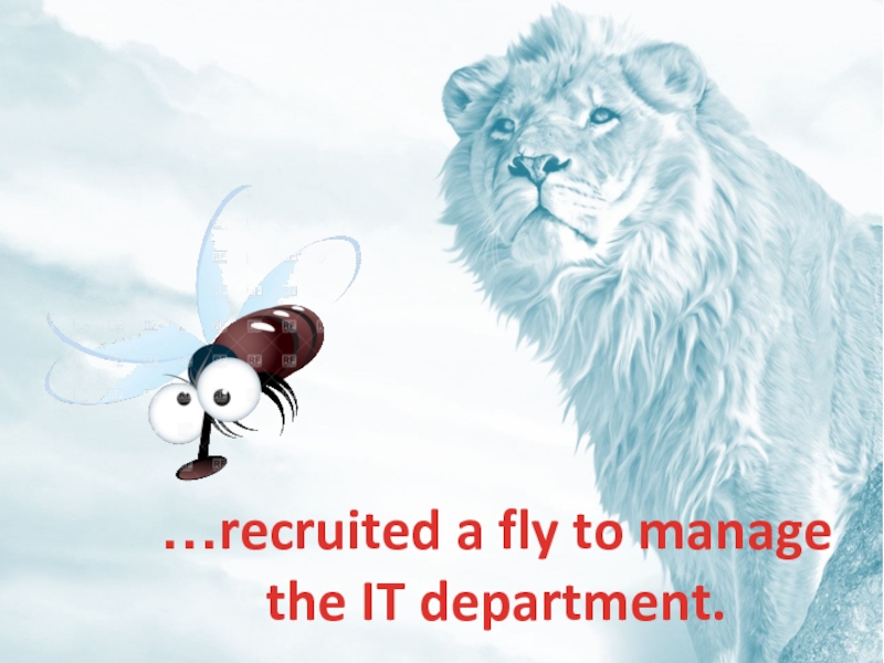 …recruited a fly to manage the IT department.