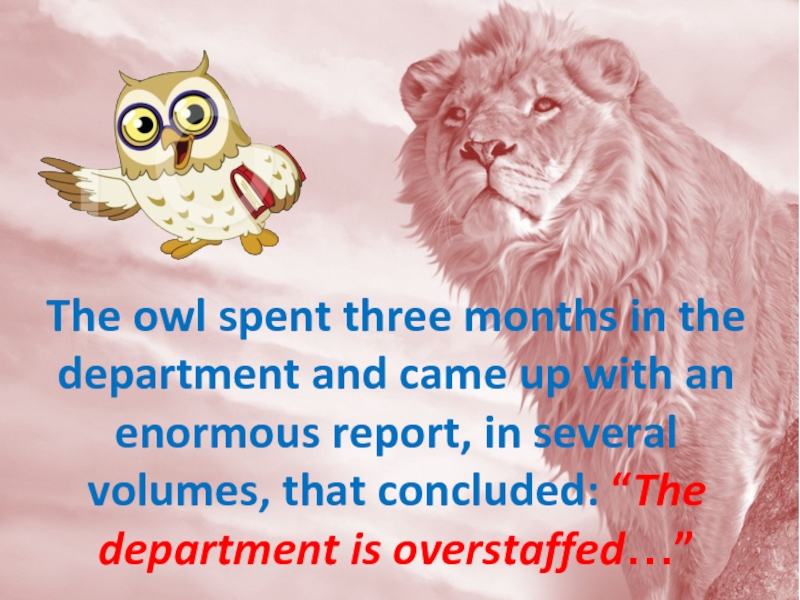 The owl spent three months in the department and came