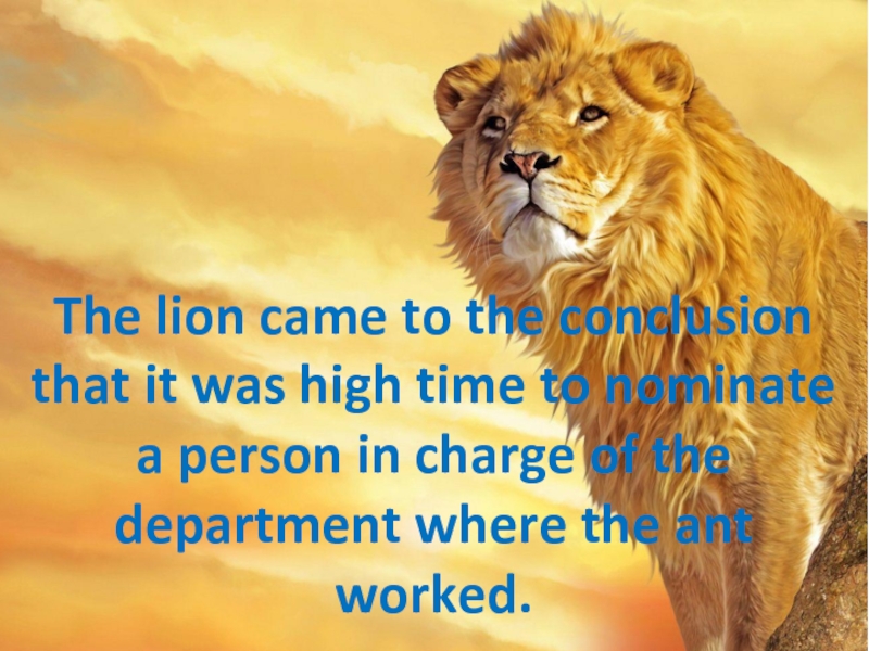 The lion came to the conclusion that it was high