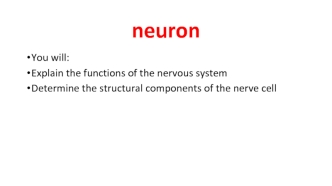 Neuron. Neurons structure