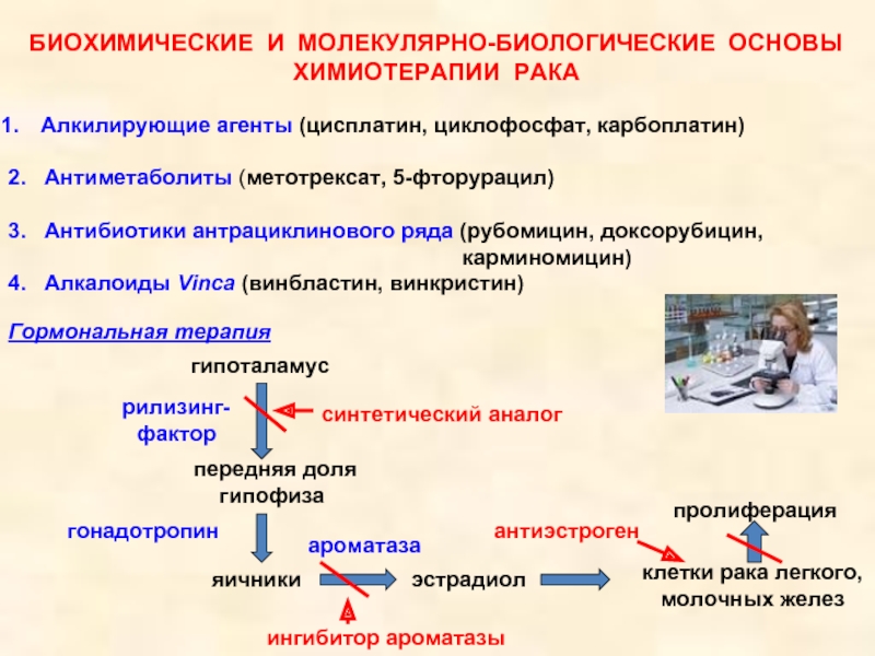 Биохимические аспекты. Биохимические основы противоопухолевой терапии. Основы химиотерапии. Биохимические аспекты химиотерапии. Доксорубицин механизм действия.