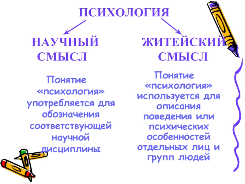 Психология слова. Термины в психологии. Психологические термины и их значение. Термин смысл психика. Происхождение слова психология.