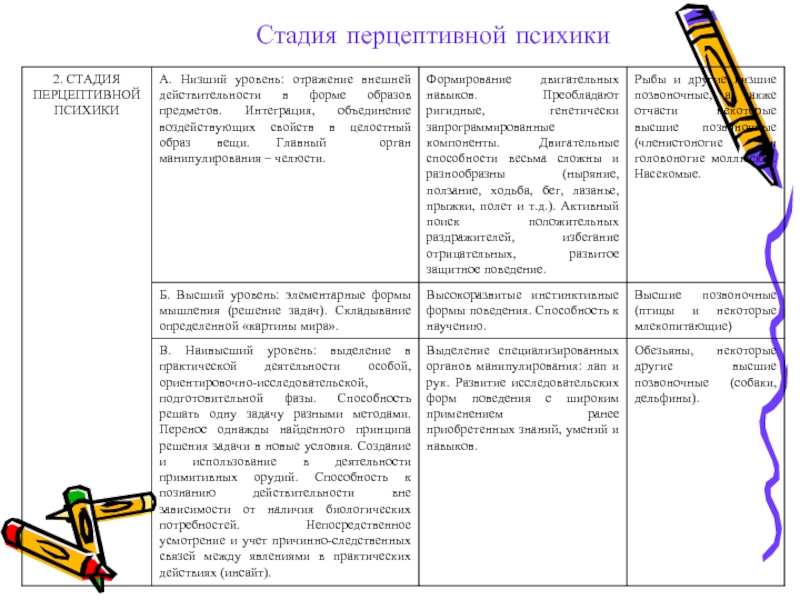 Уровни развития психики. Строение деятельности на перцептивной стадии развития психики. Общая характеристика высшего уровня перцептивной психики. Стадии элементарной сенсорной психики таблица. Стадия перцептивной психики и ее уровни.