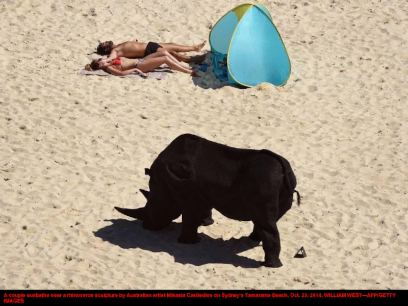 A couple sunbathe near a rhinoceros sculpture by Australian artist Mikaela