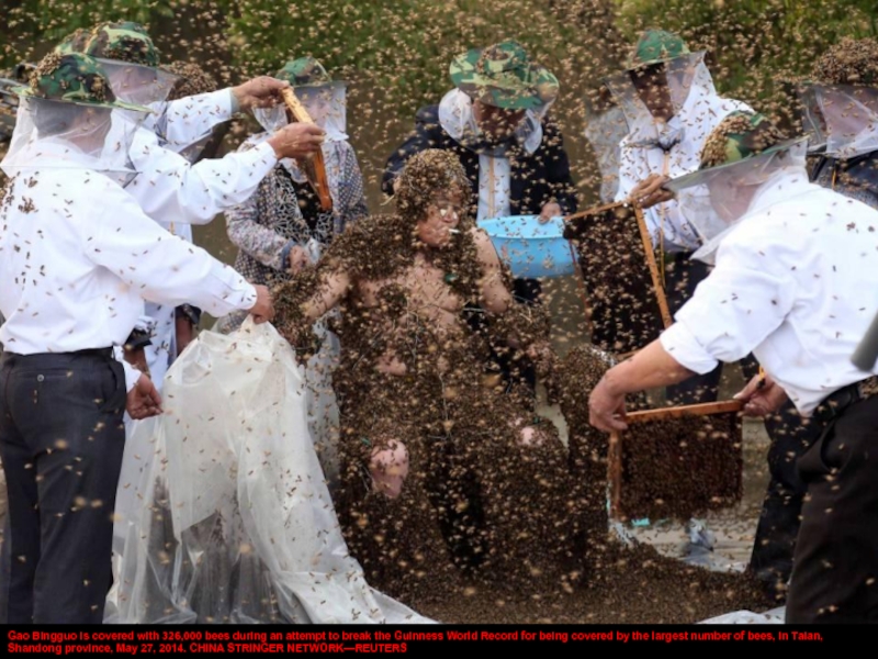 Gao Bingguo is covered with 326,000 bees during an attempt to