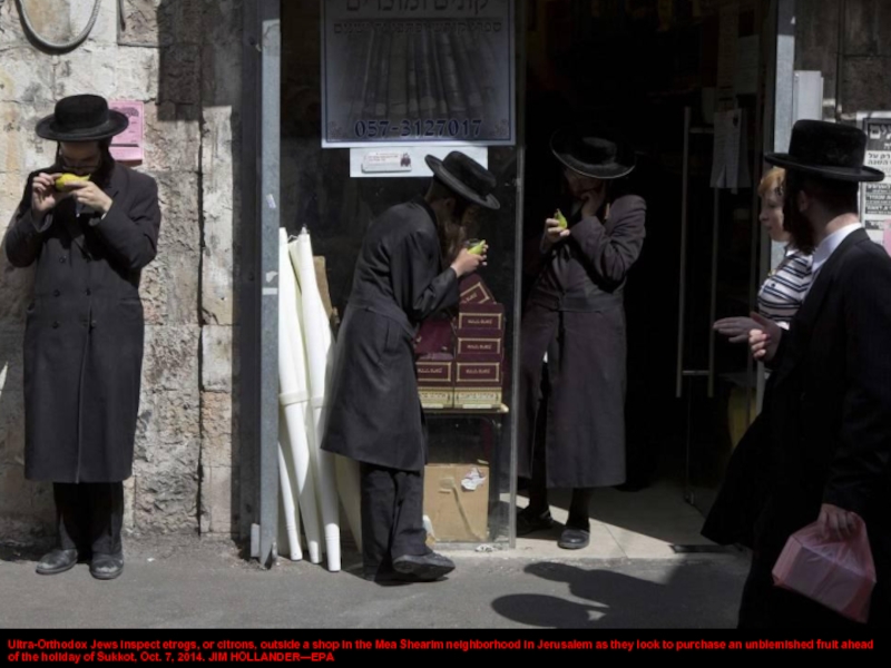 Ultra-Orthodox Jews inspect etrogs, or citrons, outside a shop in the