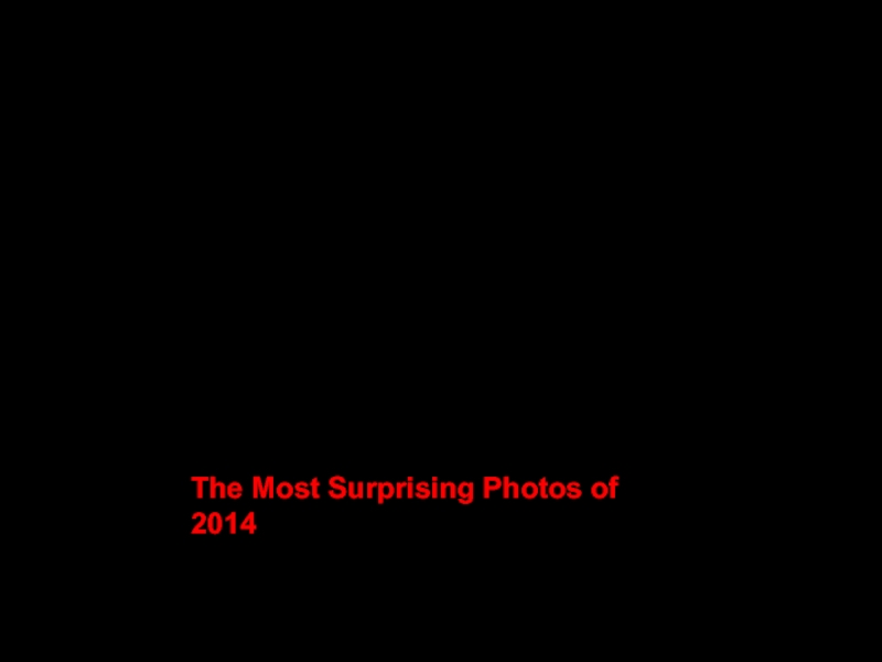 The Most Surprising Photos of 2014