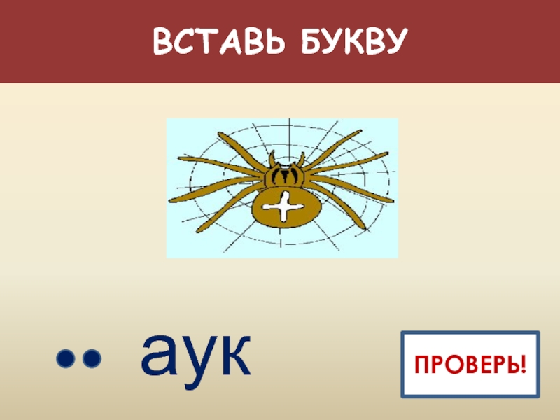 5 букв п т о. Буква п паук. Подставить букву к слову Муха. Цвета аук выхода.