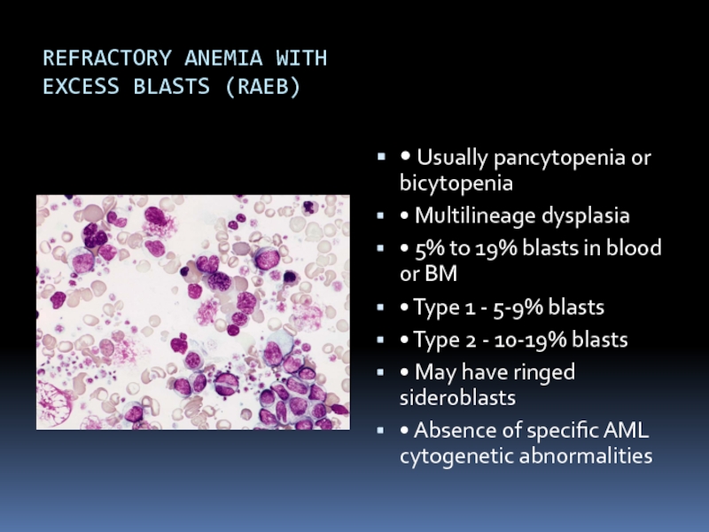 REFRACTORY ANEMIA WITH EXCESS BLASTS (RAEB)• Usually pancytopenia or bicytopenia• Multilineage