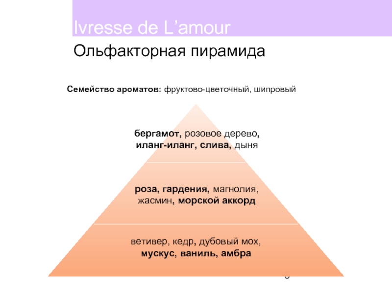 Ольфакторный. Ольфактивная пирамида ароматов. Пирамида запахов. Ольфакторный это. Ольфакторная пирамида мужских ароматов.