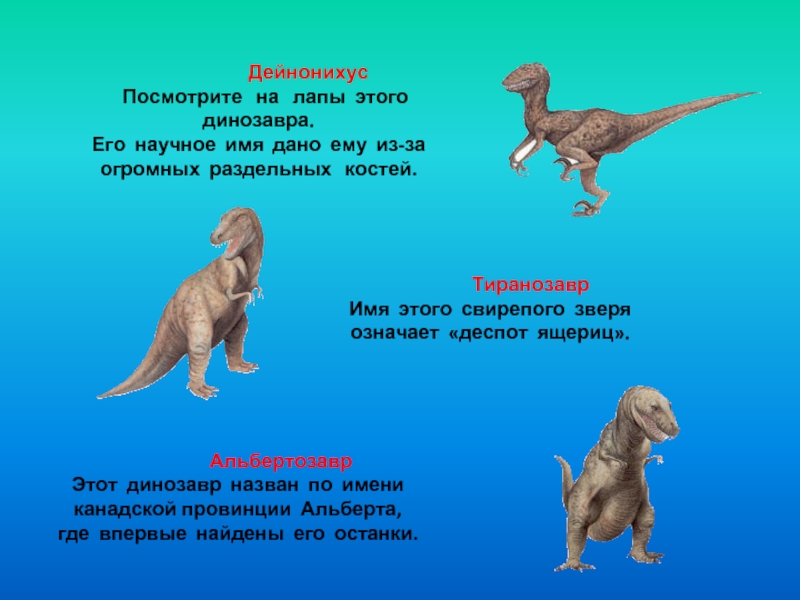 Вопросы динозавра. Загадки про динозавров. Загадки про динозавров для детей. Загадки для малышей про динозавров. Детские загадки про динозавров для дошкольников.