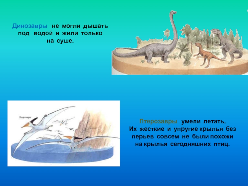 Динозавры  не могли дышать под  водой и жили только