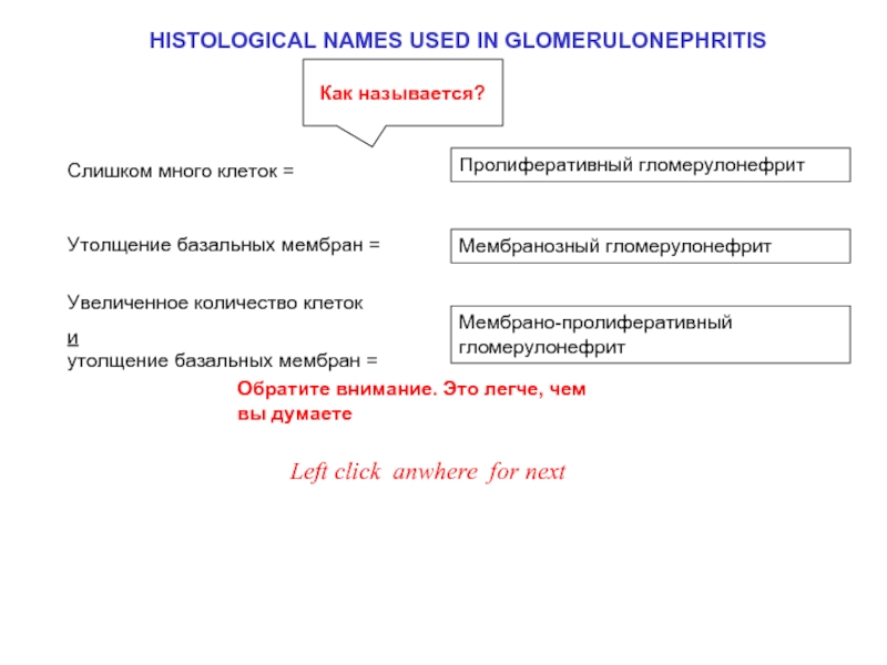 HISTOLOGICAL NAMES USED IN GLOMERULONEPHRITISМембранозный гломерулонефритПролиферативный гломерулонефритМембрано-пролиферативный гломерулонефритLeft click anywhere to