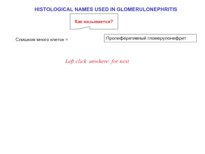 HISTOLOGICAL NAMES USED IN GLOMERULONEPHRITISПролиферативный гломерулонефритLeft click anywhere to find outСлишком