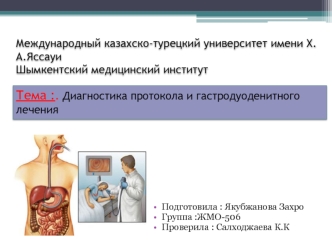 Диагностика протокола и гастродуоденитного лечения