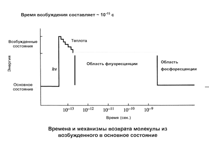 Время возбуждения. Время жизни возбужденного состояния. Возбужденного состояния молекулы. Состояния молекул в возбужденном и основном состоянии. Состояний молекулы (основного или возбужденного).