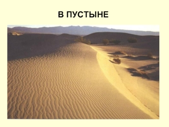 В ПУСТЫНЕ