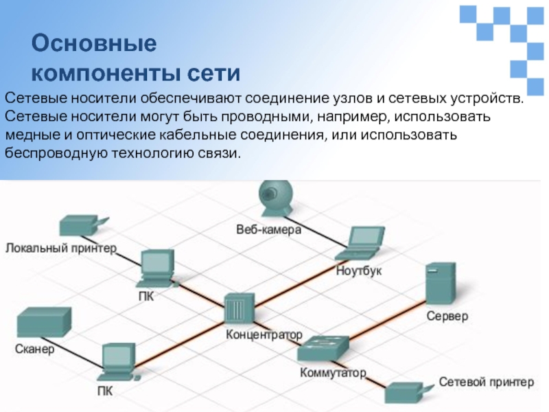 Виды узлов сети. Компоненты сети. Сетевые носители. Информационно-вычислительная сеть. Компонент сетевые подключения.
