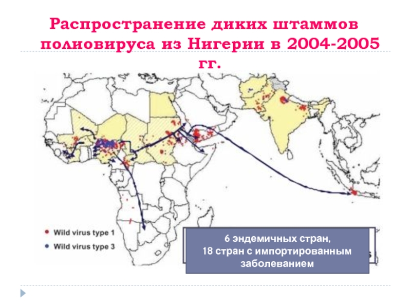 Распространение диких штаммов полиовируса из Нигерии в 2004-2005 гг.6 эндемичных стран, 18 стран с импортированным заболеванием