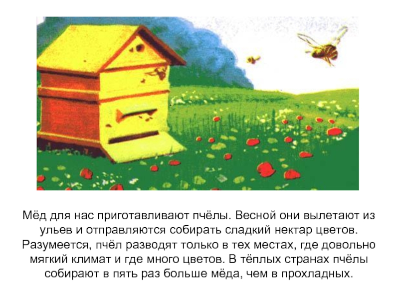 3 пчелы 3 дома. Домик пчел для детей. Пчелиные домики для дошкольников. Рисунок на тему Пчеловодство. Улей для пчел для детей.