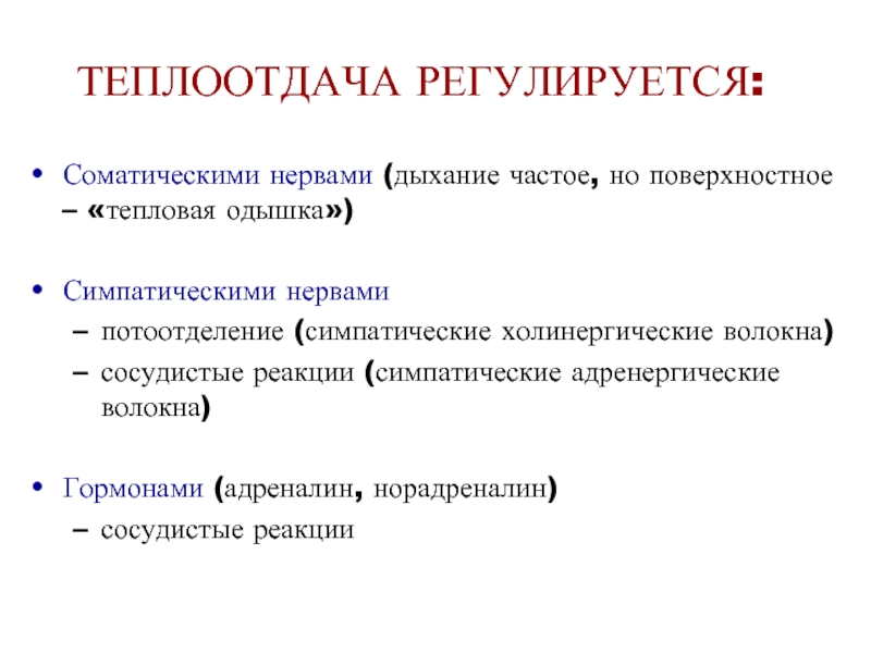 Частое дыхание. Симпатические холинергические нервы. Холинергические волокна. Холинергические и адренергические волокна. Холинергические волокна адренергические волокна.