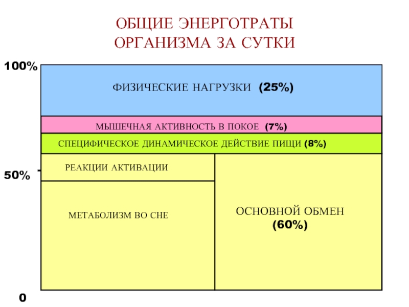 Основная энергия организма. Общие энерготраты организма. Основной обмен во сне. Общие энерготраты организма складываются из. Энерготраты организма основной обмен.