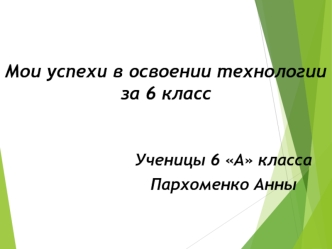 Успехи в освоении технологии за 6 класс