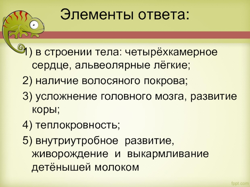 Элементы ответа: 
  1) в строении тела: четырёхкамерное сердце, альвеолярные лёгкие;  2) наличие волосяного покрова;