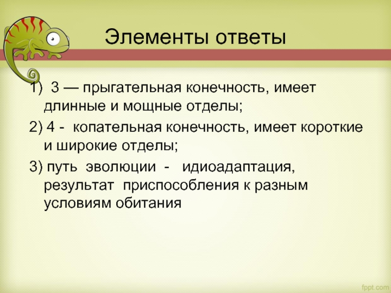 Элементы ответы 1) 3 — прыгательная конечность, имеет длинные и мощные отделы; 2) 4 - копательная конечность,