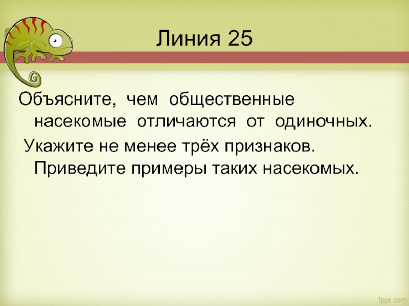 Укажите не менее трех признаков. Объясните чем общественные насекомые отличаются от одиночных. Отличия общественных насекомых от одиночных. Чем общественные насекомые отличаются от одиночных.