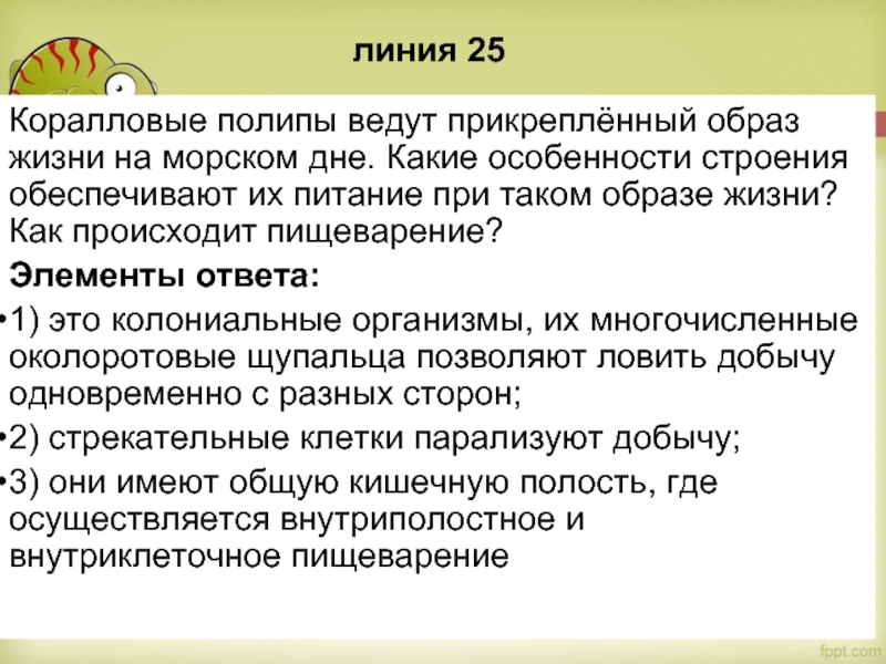 Коралловые полипы ведут прикреплённый образ жизни на морском дне. Какие особенности строения обеспечивают их питание при таком