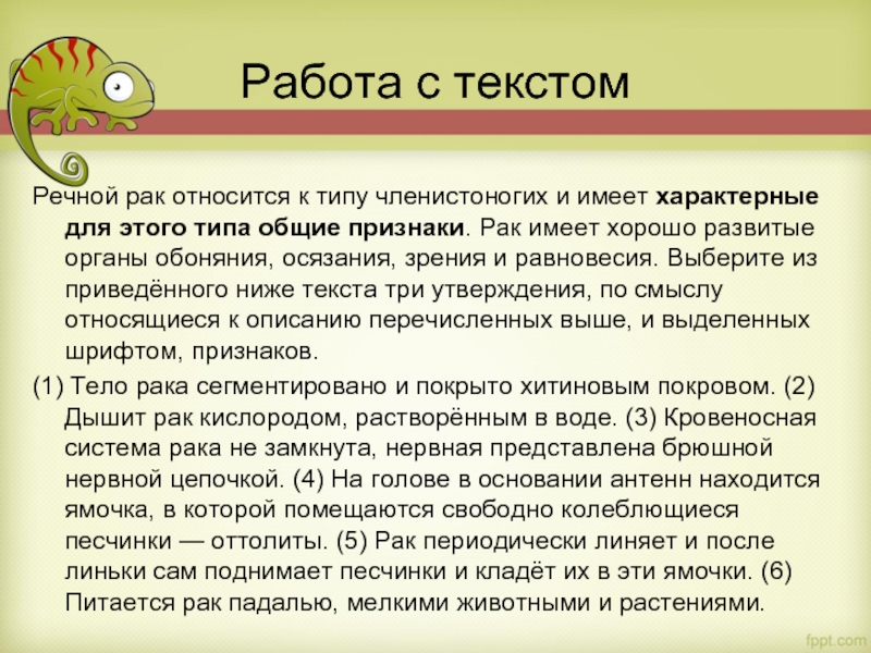 Работа с текстом Речной рак относится к типу членистоногих и имеет характерные для этого типа общие признаки.