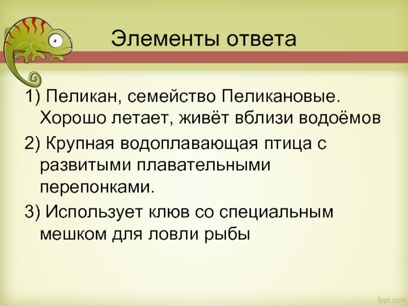 Элементы ответа 1) Пеликан, семейство Пеликановые. Хорошо летает, живёт вблизи водоёмов 2) Крупная водоплавающая птица с развитыми