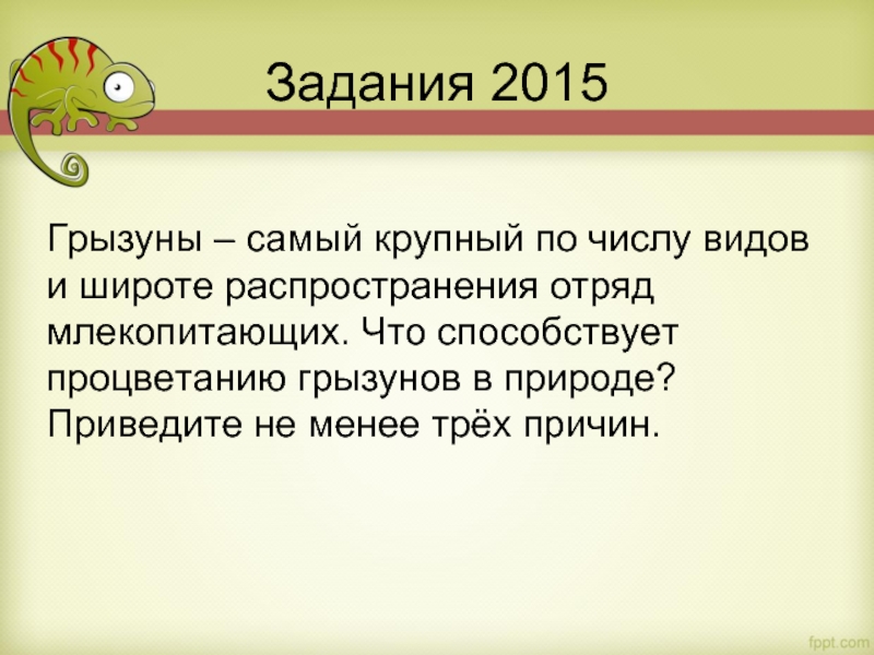 Грызуны – самый крупный по числу видов и широте распространения отряд млекопитающих. Что способствует процветанию грызунов в