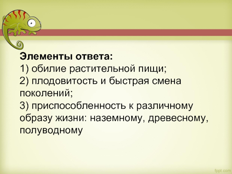 Элементы ответа: 1) обилие растительной пищи; 2) плодовитость и быстрая смена поколений; 3) приспособленность к различному образу жизни: наземному, древесному,