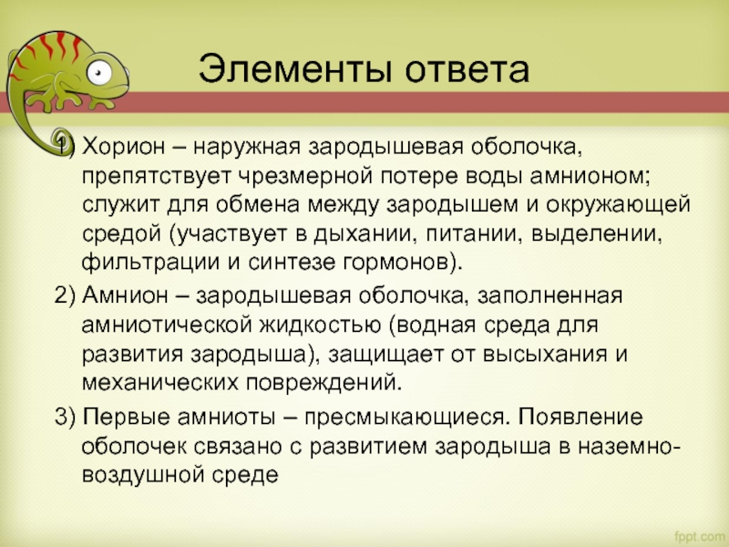 Элементы ответа 1) Хорион – наружная зародышевая оболочка, препятствует чрезмерной потере воды амнионом; служит для обмена между