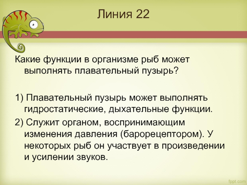 Линия 22
  Какие функции в организме рыб может выполнять плавательный пузырь?  1) Плавательный пузырь может