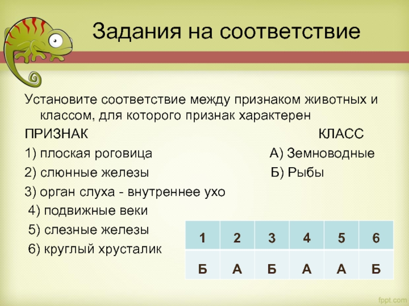 Установите соответствие между признаками обмена