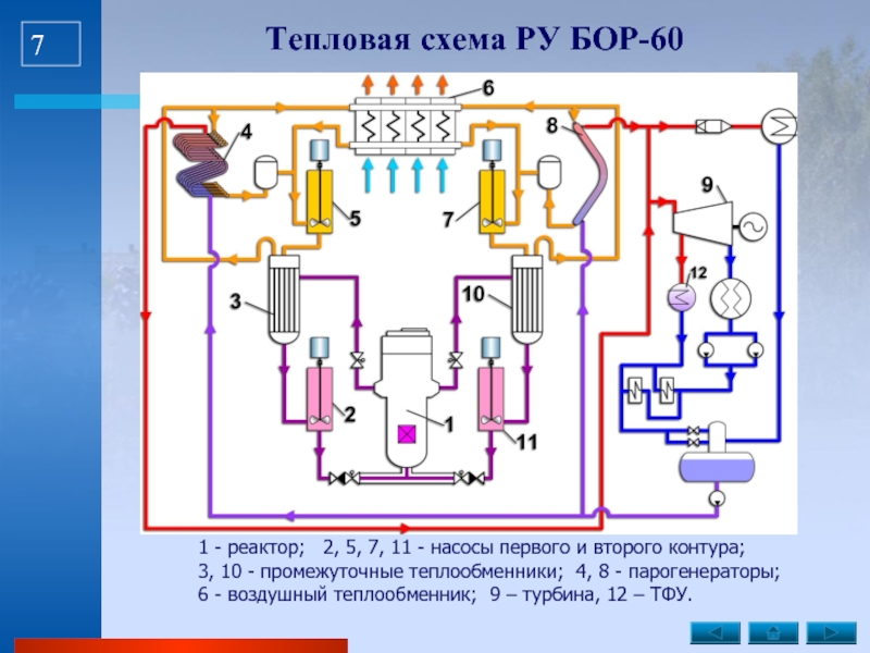 Ввэр 440 тепловая схема