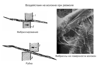 Воздействия на волокна при размоле. Фибриллирование. Фибриллы на поверхности волокон. Рубка