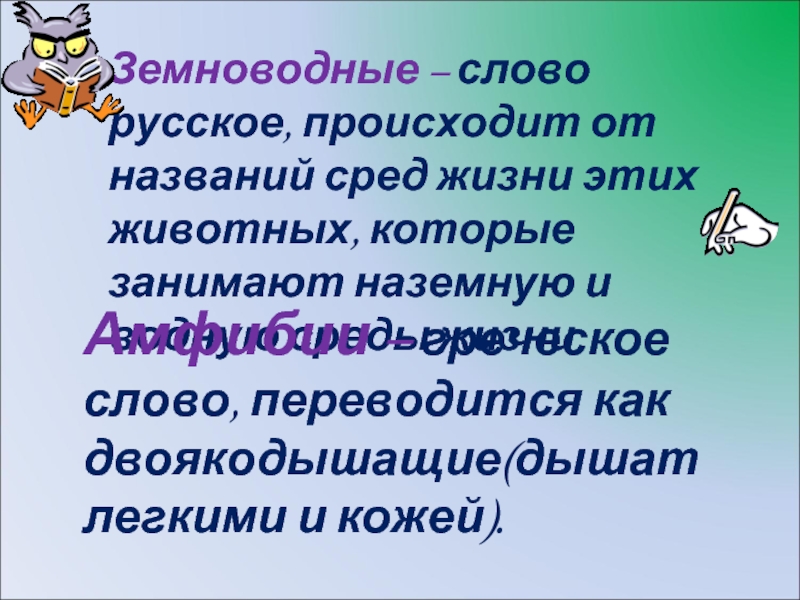 Вставьте пропущенные слова земноводные это наземные животные. Амфибия текст.