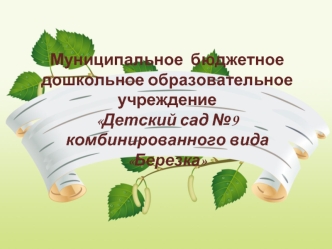 Муниципальное  бюджетное  дошкольное образовательное учреждение Детский сад №9 комбинированного вида  Березка