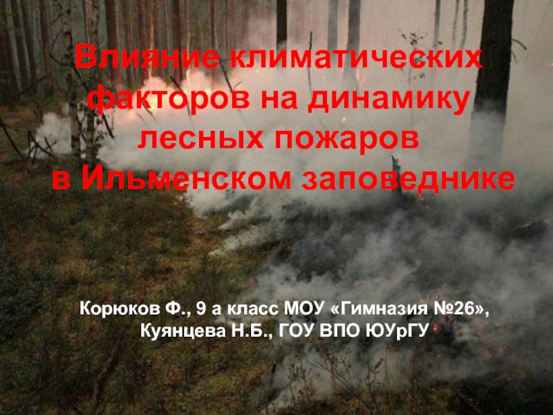 Динамика лесных пожаров. Ильменский заповедник пожары. Системной динамики Лесные пожары. Плохое влияние климата на лес. Осторожно Лесные пожары.