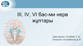 III, IV, VI бас-ми нерв жұптары