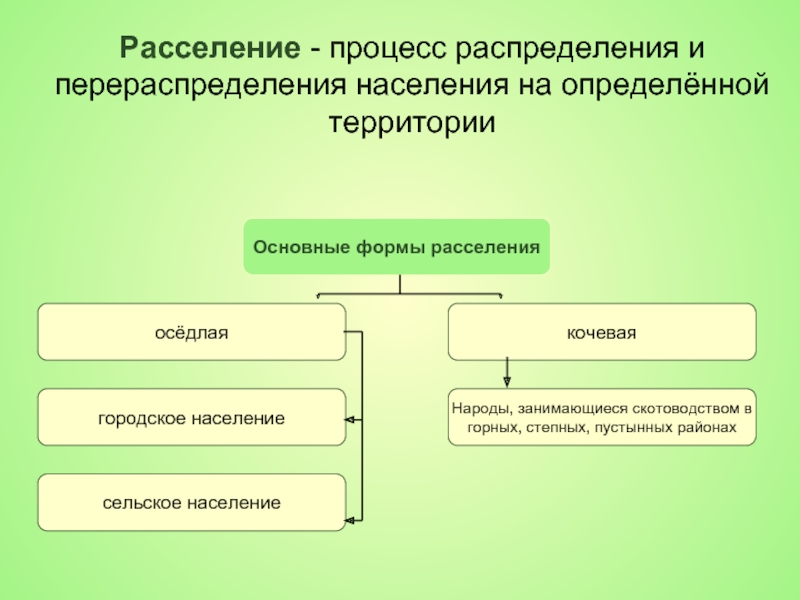 Формы расселения урбанизация