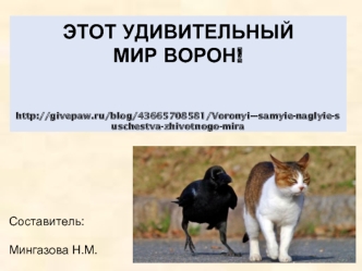 Удивительный мир ворон